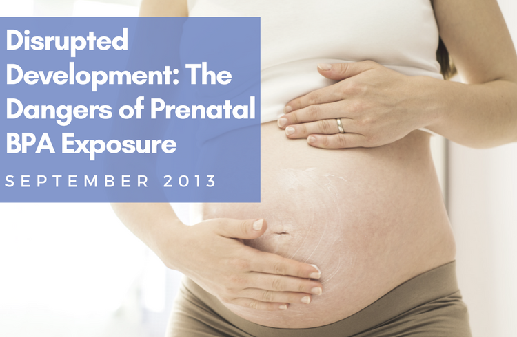 Disrupted Development: The Dangers of Prenatal BPA Exposure